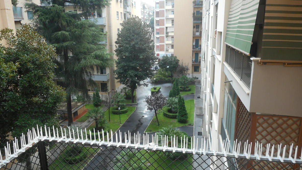 Single room n° 1 available in Roma — foto 2